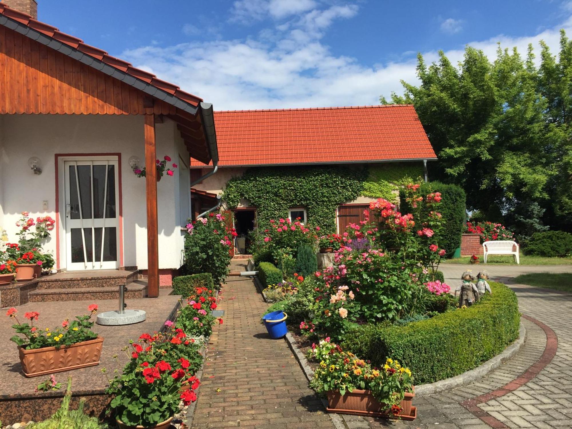 Top-Moderne Ferienwohnung Und Apartments Auf Frueherem Wunderschoenen Bauernhof Im Elbe-Elster-Kreis In Brandenburg Bei Herzberg-Elster, Schoenewalde, Holzdorf Schönewalde Exterior foto