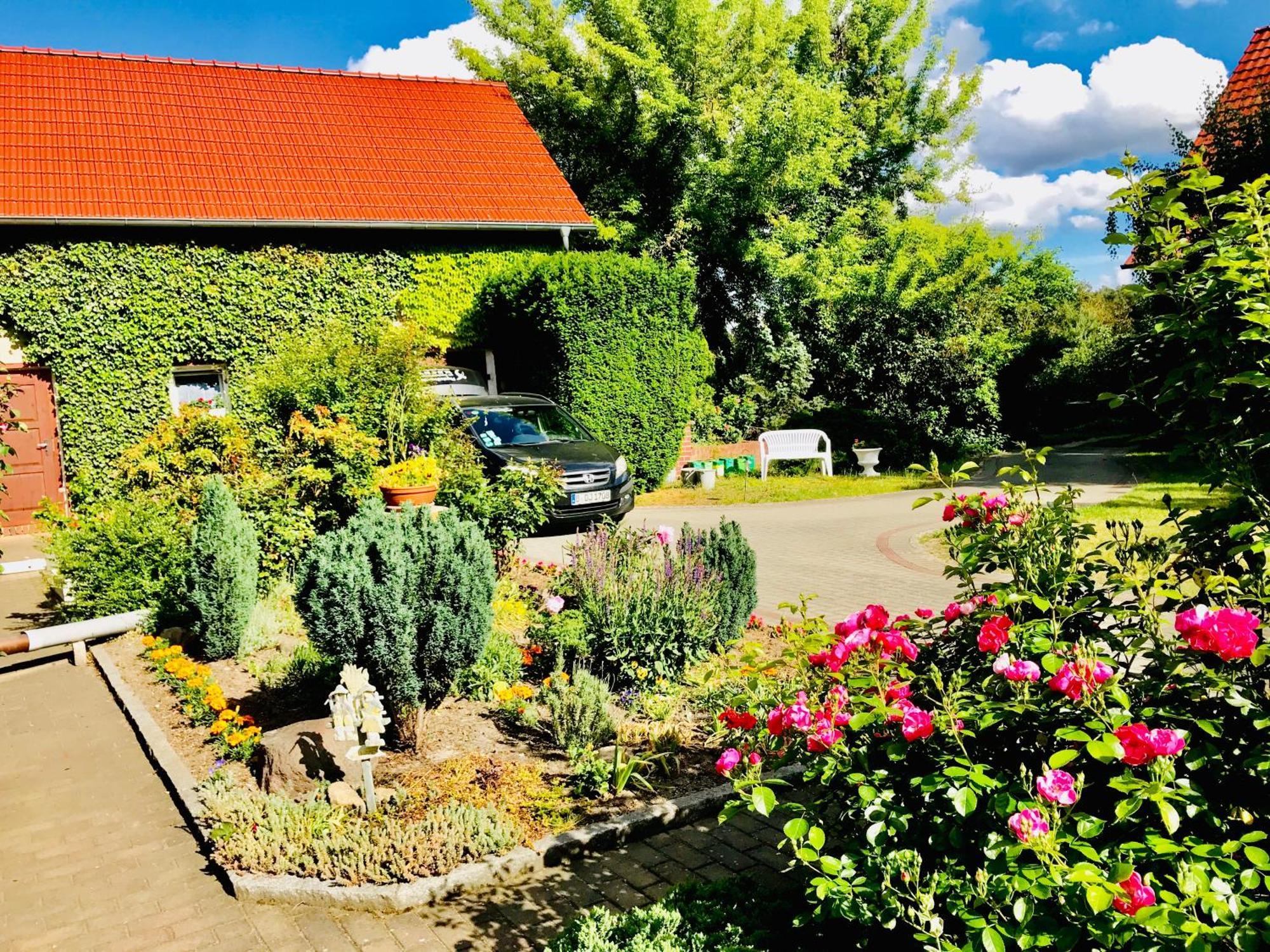 Top-Moderne Ferienwohnung Und Apartments Auf Frueherem Wunderschoenen Bauernhof Im Elbe-Elster-Kreis In Brandenburg Bei Herzberg-Elster, Schoenewalde, Holzdorf Schönewalde Exterior foto